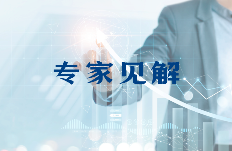 专家见解
